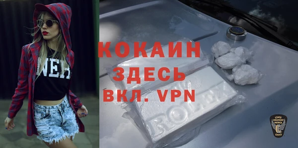 молекула духа Арсеньев