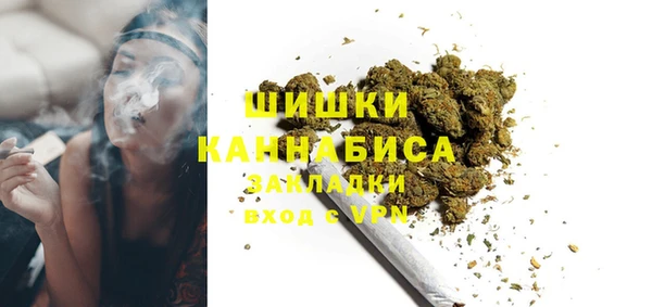 молекула духа Арсеньев