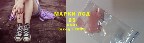 молекула духа Арсеньев
