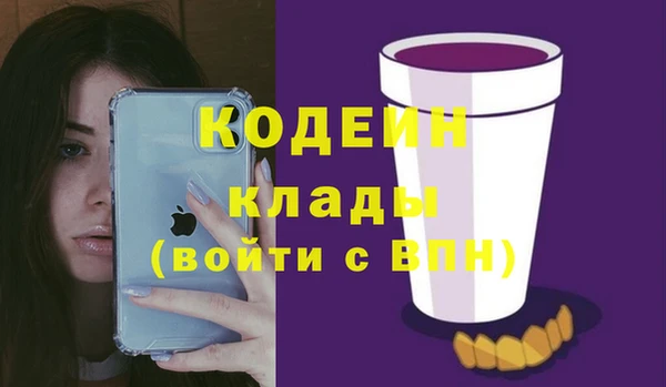 молекула духа Арсеньев