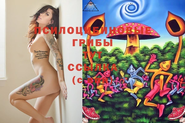 молекула духа Арсеньев