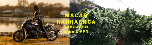молекула духа Арсеньев