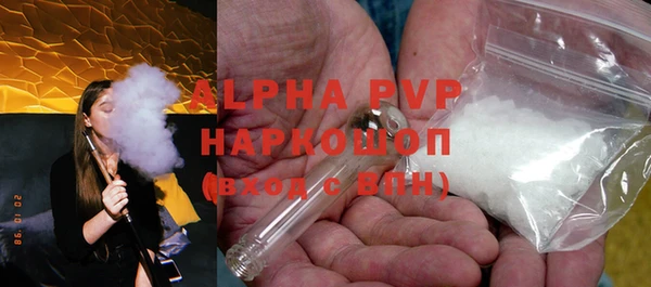 молекула духа Арсеньев