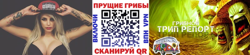 Псилоцибиновые грибы Cubensis Минусинск